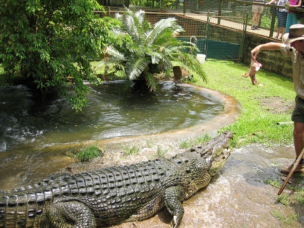 125 Cairns Tropical Zoo.jpg